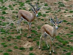 149 BIO PARC DE DOUE LA FONTAINE 7- 2016_000003